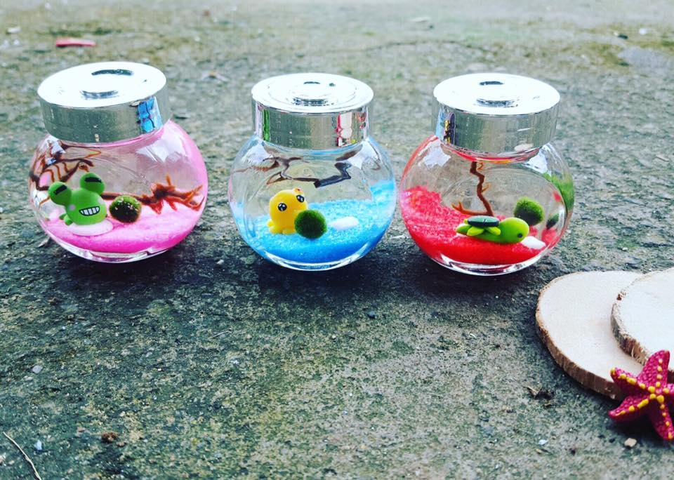 Set nghiêng nhỏ marimo đại dương xanh
