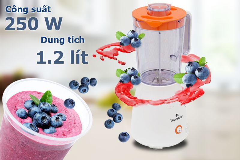 Máy xay sinh tố BLUSTONE BLB-5316