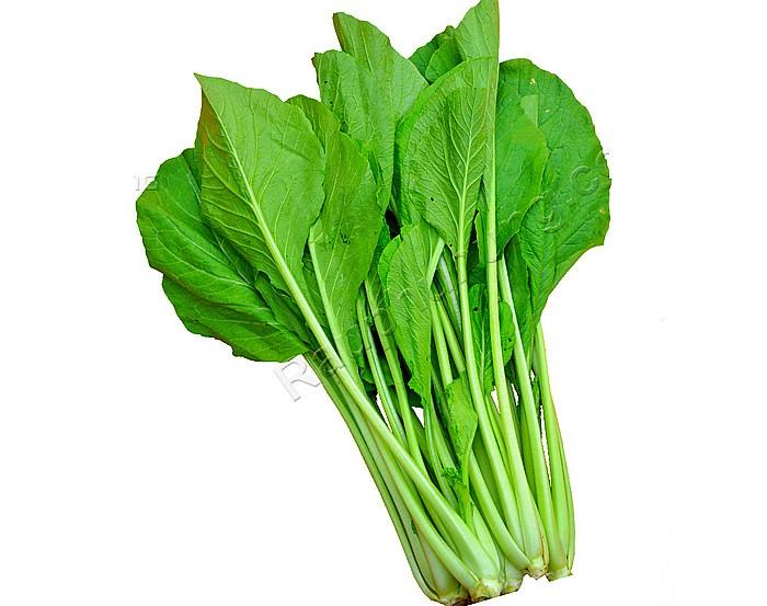 Hạt Giống Rau Cải Ngọt Dễ Trồng Năng Suất Cao Gói 20 Gam