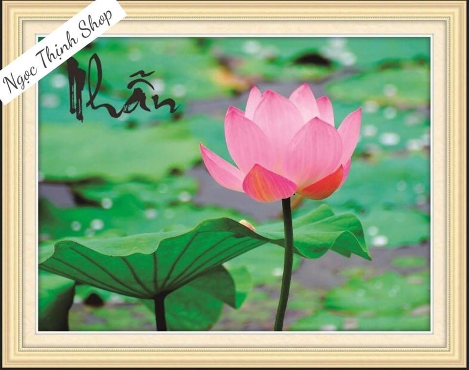 Tranh đính đá chữ nhẫn 64x50cm