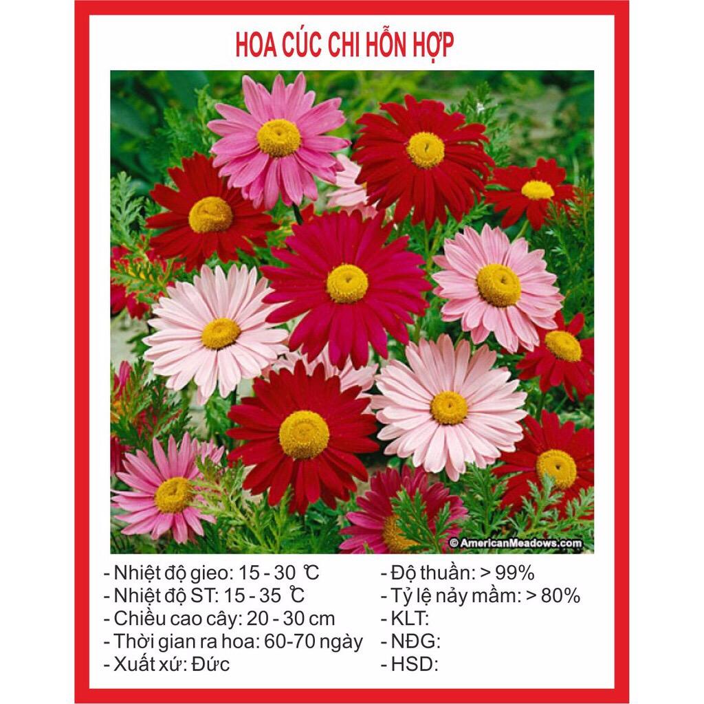 [Lấy mã giảm thêm 30%] Hạt giống hoa Cúc Chi Hỗn Hợp (50 hạt)