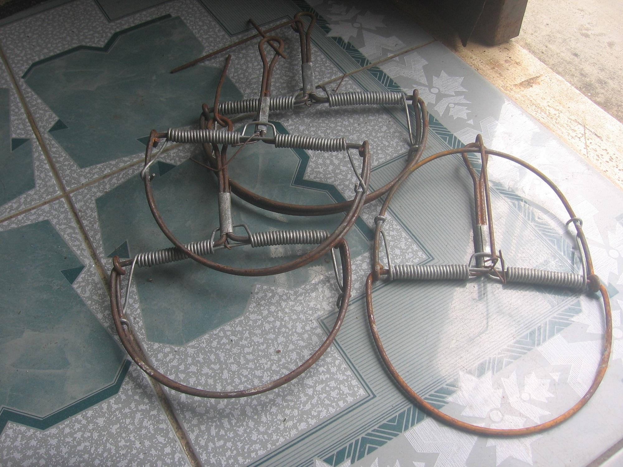 3 chiếc bẫy chuột bán nguyệt