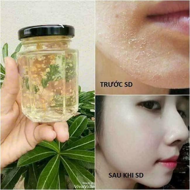 Mặt nạ collagen tổ yến tươi