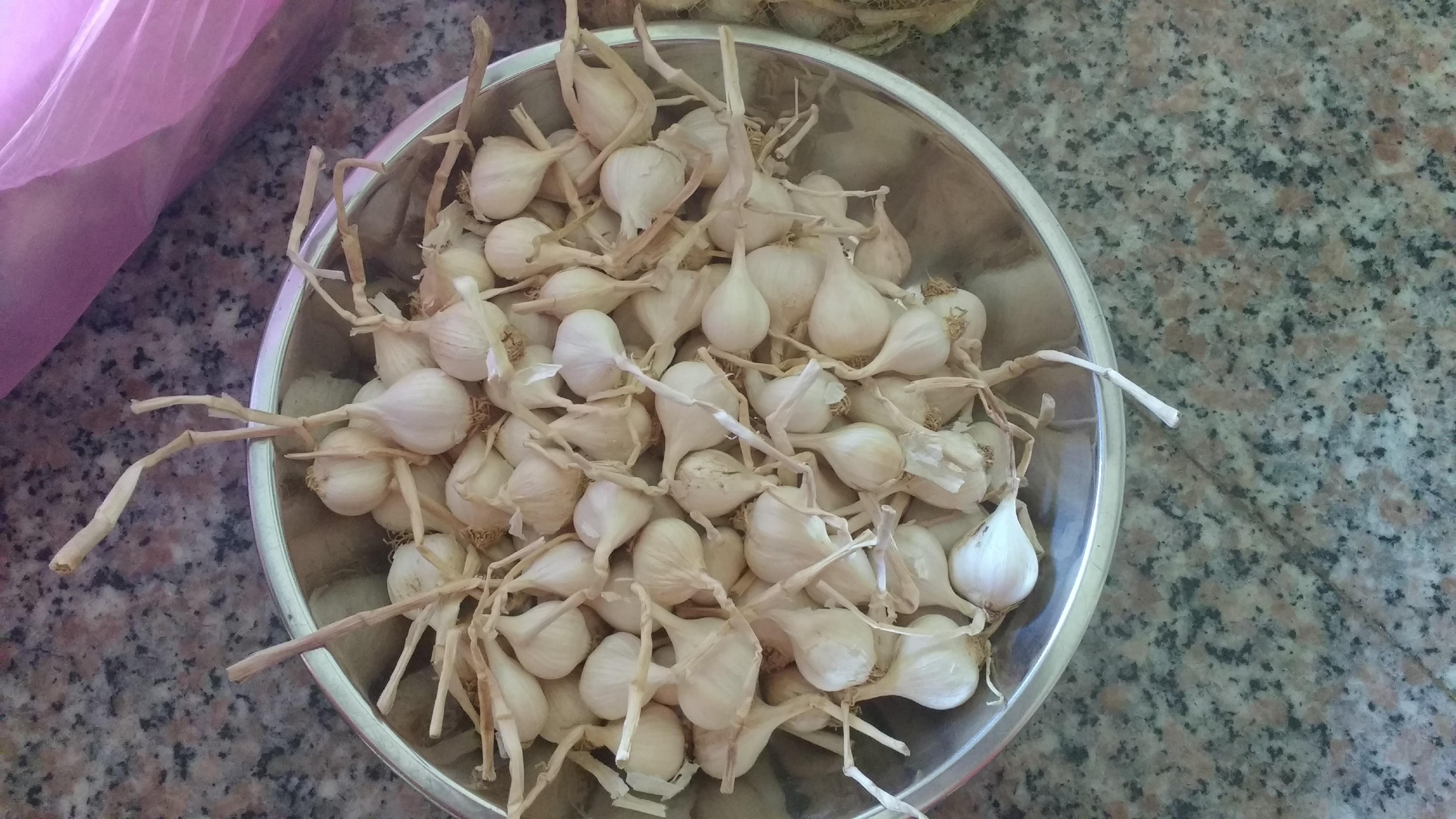Tỏi Lý Sơn 3 Tép
