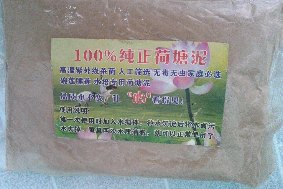 Hạt giống sen mini nhật mix màu ( 1 gói 5 hạt + Kèm 1 gói bùn sạch để trồng sen )