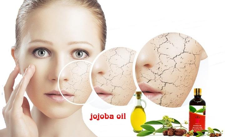 Dầu jojoba ( jojoba oil ) 100ml  ấn độ