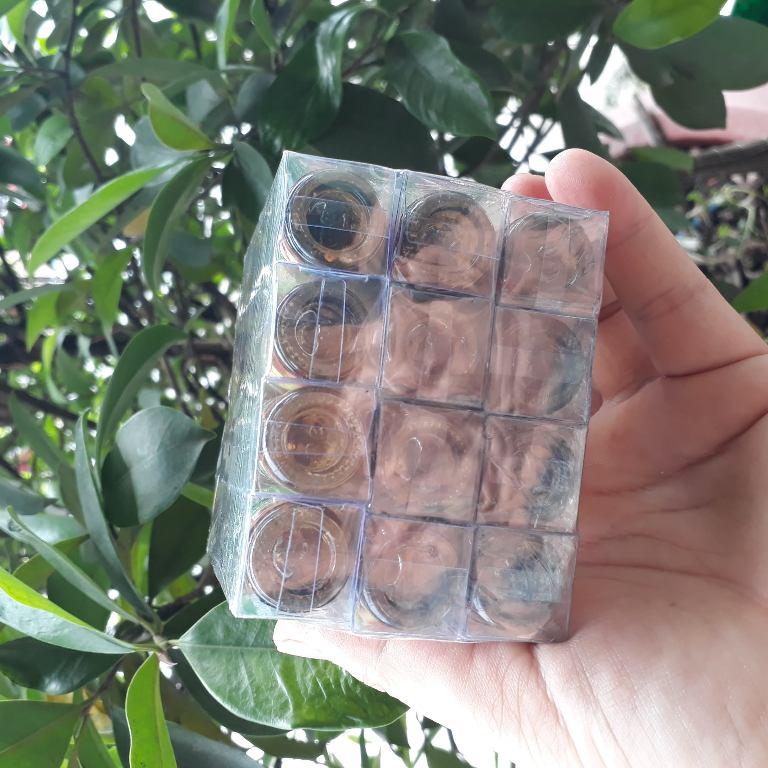 Combo 12 chai dầu gió  nhân sâm Thái Lan