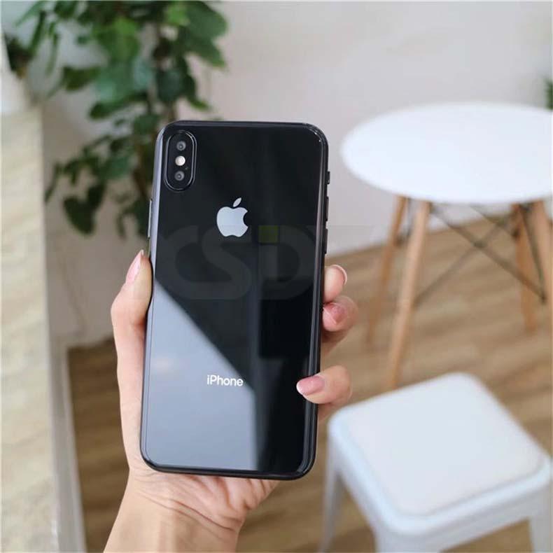 Kính Cường Lực Mặt Sau 5D Cho iPhone Xs Max - Đen