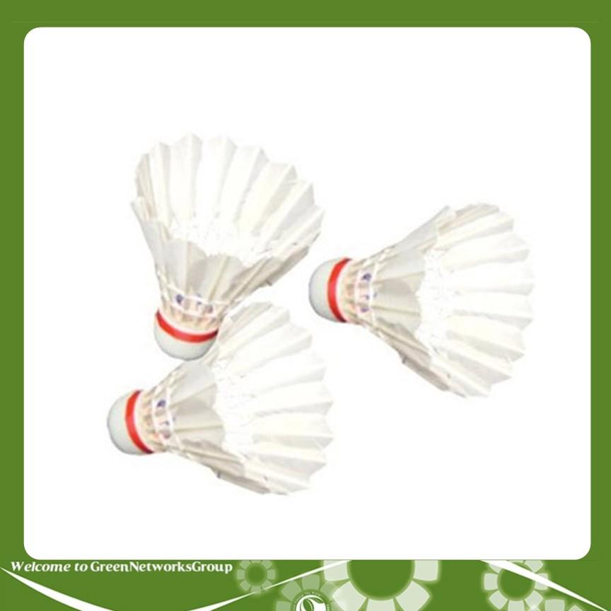 Ống cầu lông Pando 12 quả GreenNetworks