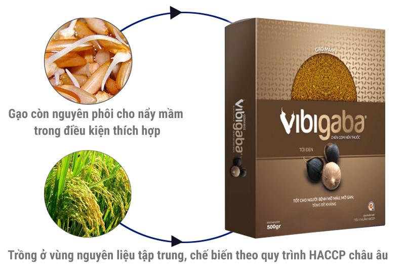[HCM]Gạo Mầm Tỏi Đen Hộp 1kg