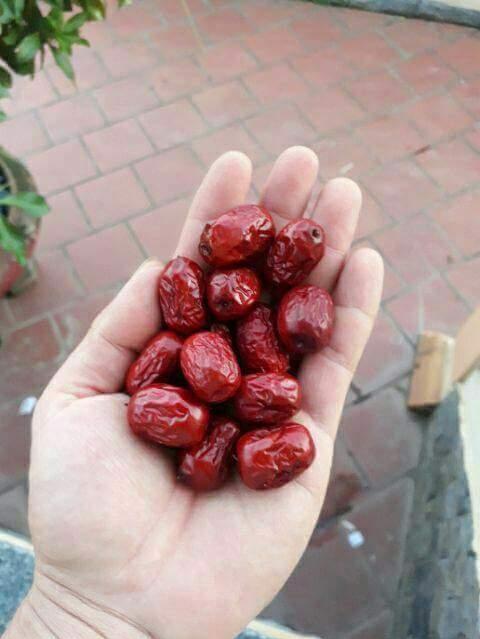 [HCM]GÓI 500G Táo đỏ Tân Cương To ngon, rẻ, chất lượng, sỉ, dạo, ăn vặt, ăn liền, nhà làm, combo, mứt, hot