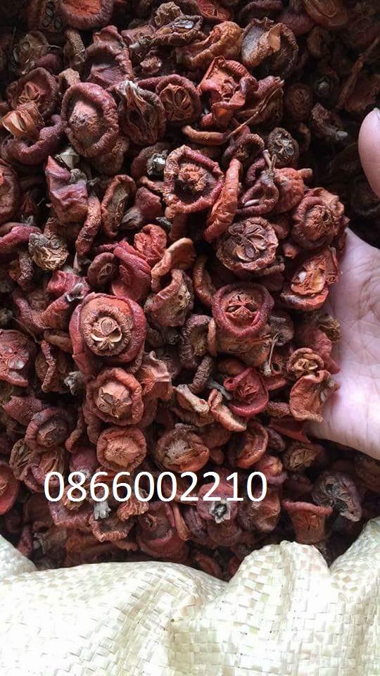 TÁO MÈO KHÔ YÊN BÁI LOẠI 1
