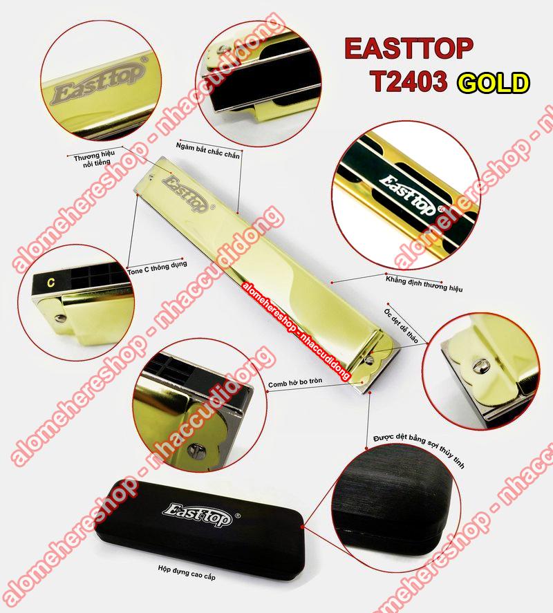 Kèn harmonica tremolo Easttop T2403 Key C