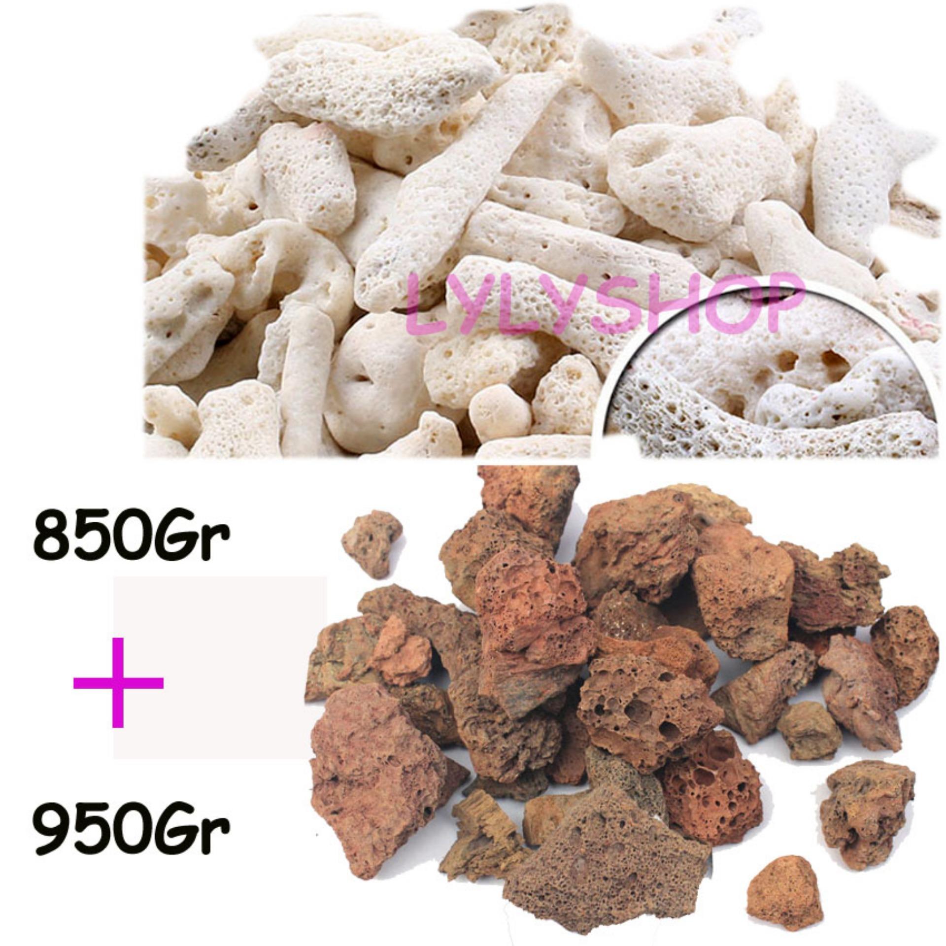 Combo ĐÁ NHAM THẠCH (950GR) + SAN HÔ VỤN (850GR) vật liệu lọc, trang trí bể cá