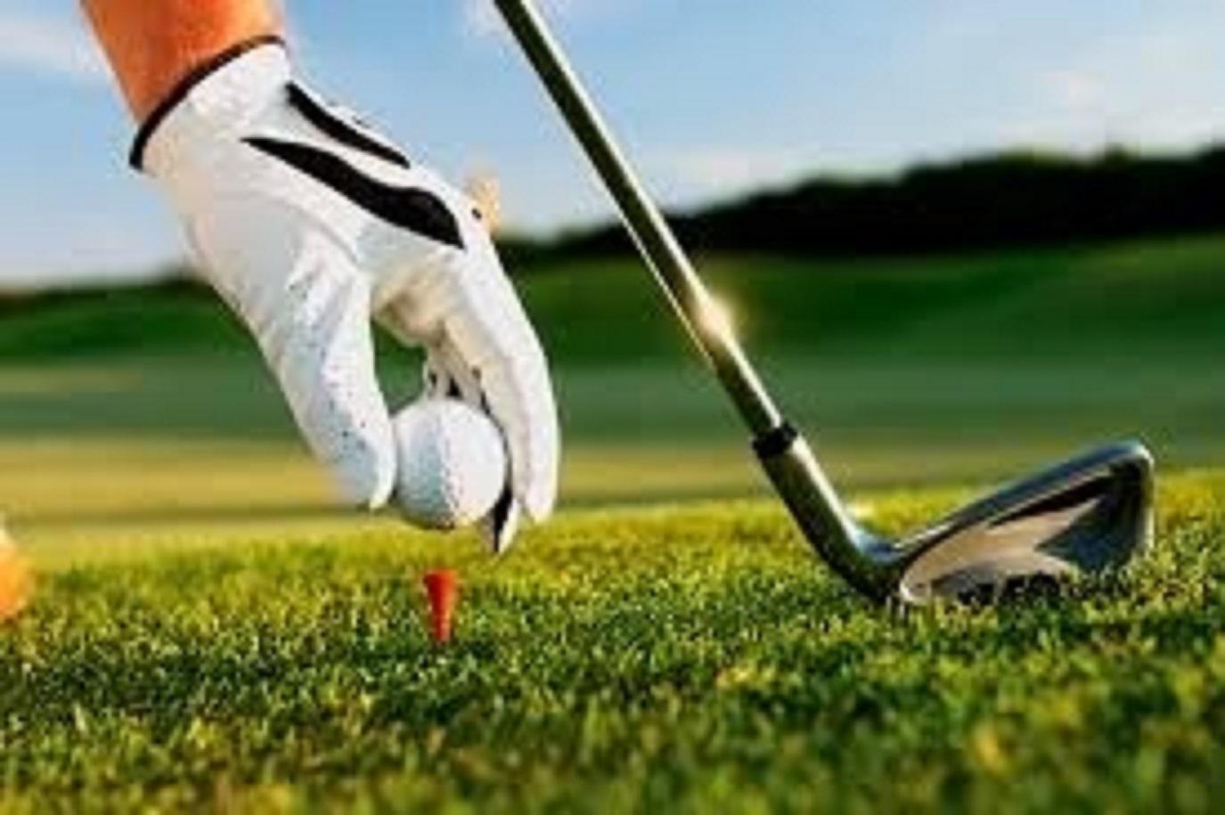 Thảm tập Golf Swing Mat Vandat-cỏ PE (Đế Đen) Combo 2 bộ