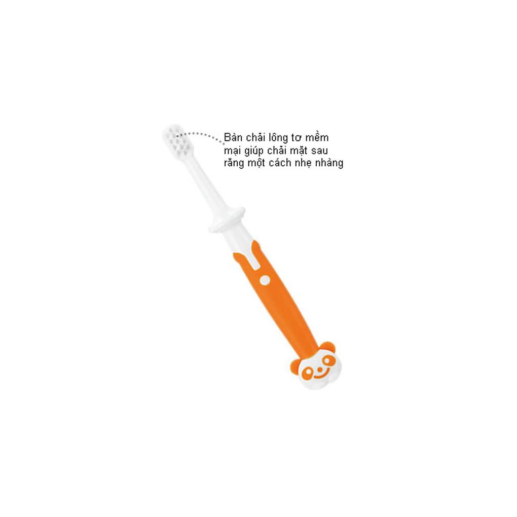 [HCM]Bàn chải bước 3 (12m+) Richell RC93865