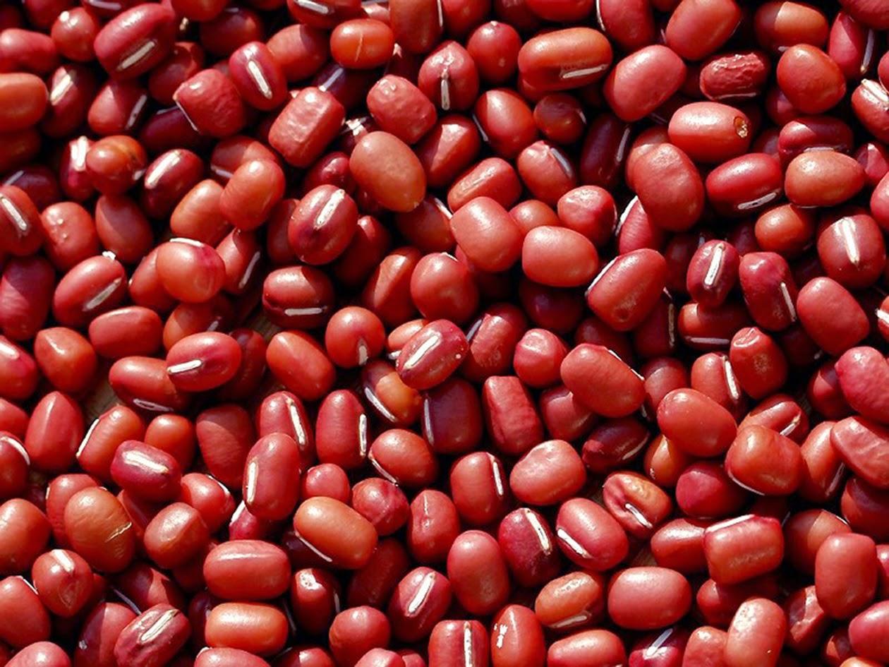 Đậu đỏ hạt nhỏ (xích tiểu đậu) 1Kg