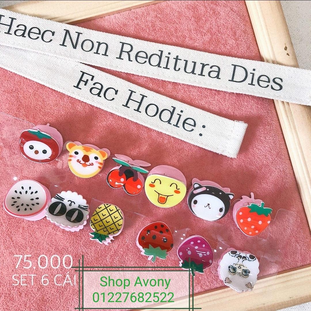 [HCM]Set 6 Kẹp tóc càng cua mái