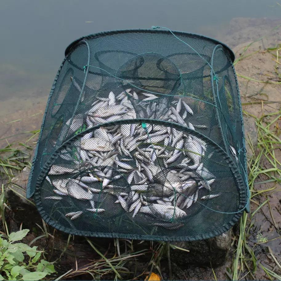 Lồng bát quái vuông 9 cửa Hiện đại 2024