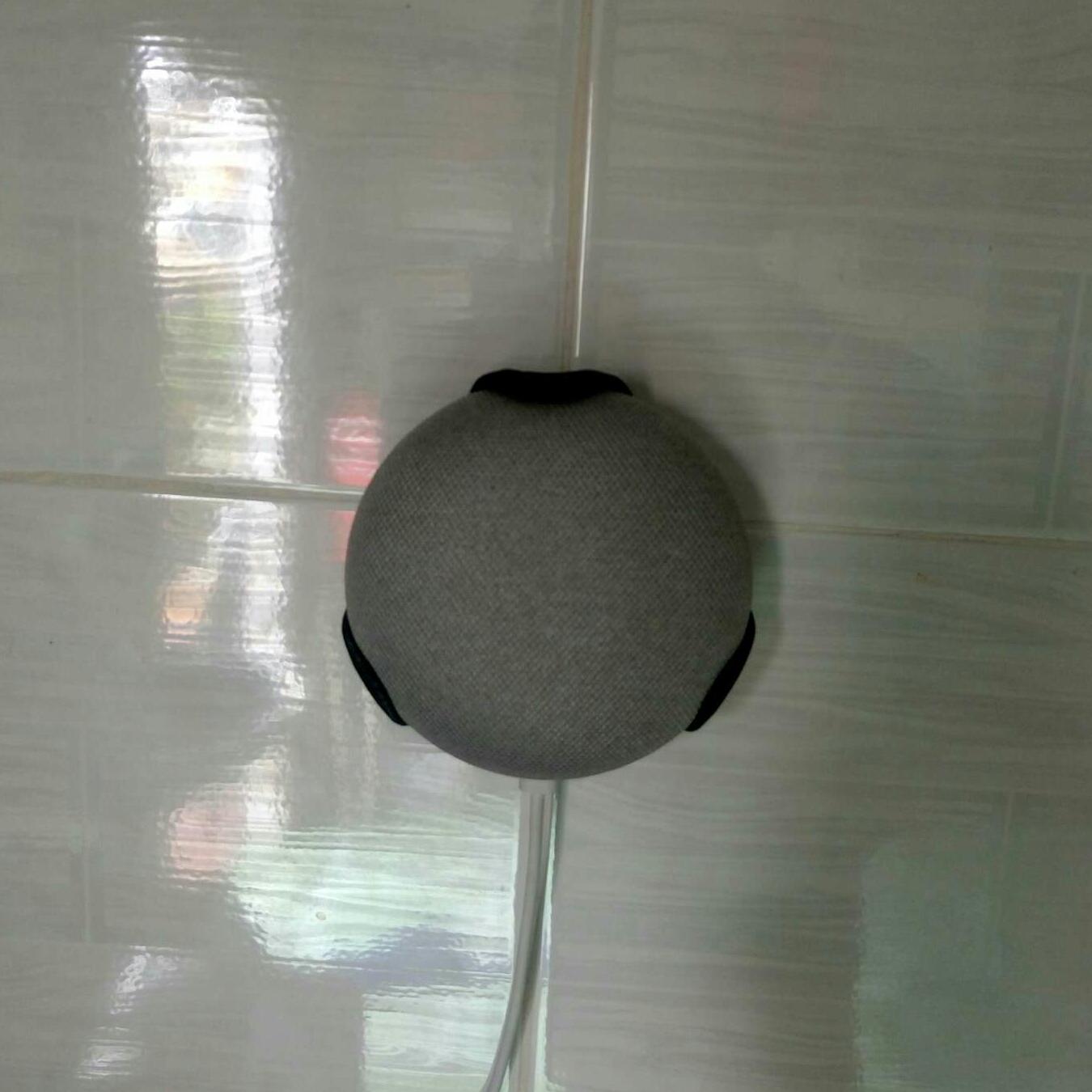 Case treo Google home mini