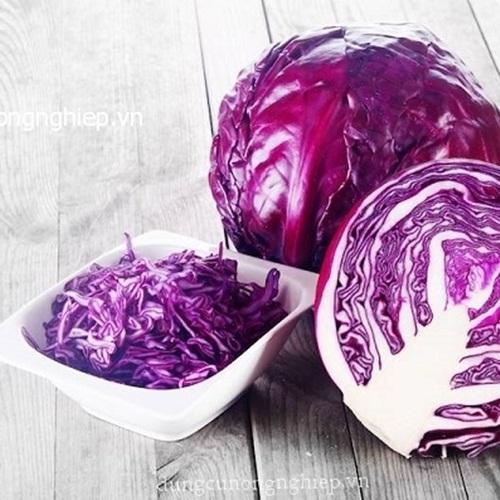 Hạt Giống Rau Cải Bắp Tím. Túi 30 Hạt Chất Lượng Cao