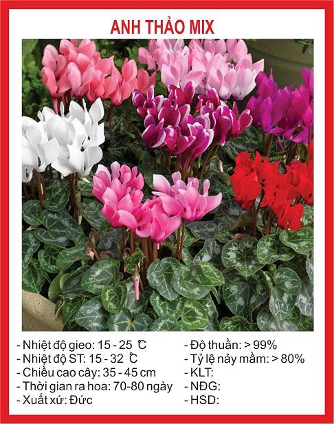 Hạt giống hoa anh thảo MIX gói 5 hạt Xuất xứ Đức