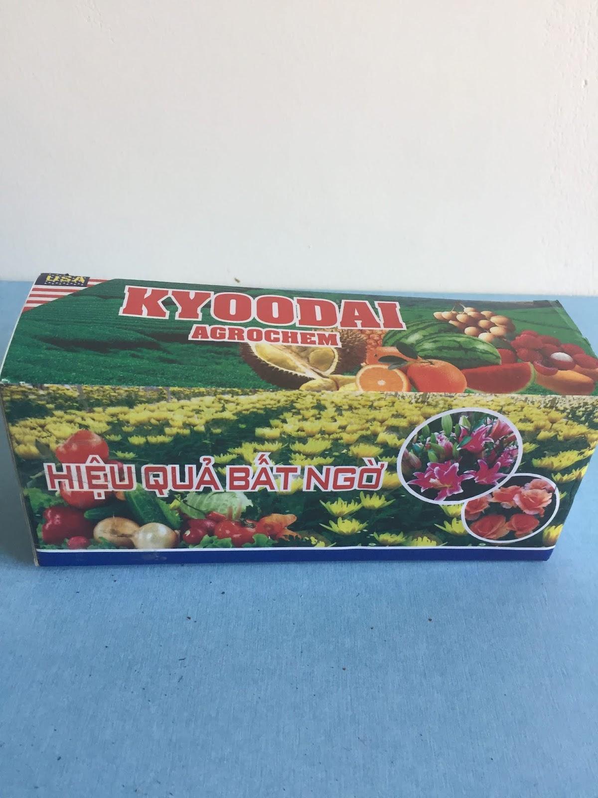 6 lọ Siêu ra rễ cực mạnh Root king