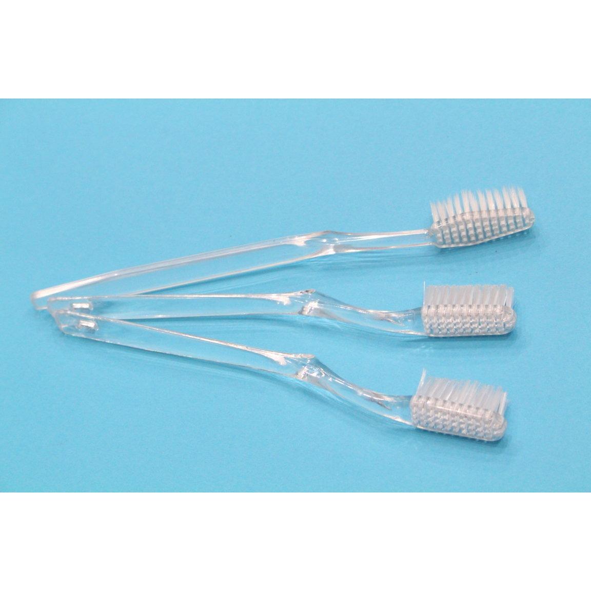[HCM]100 cây lược trắng cho khách sạn