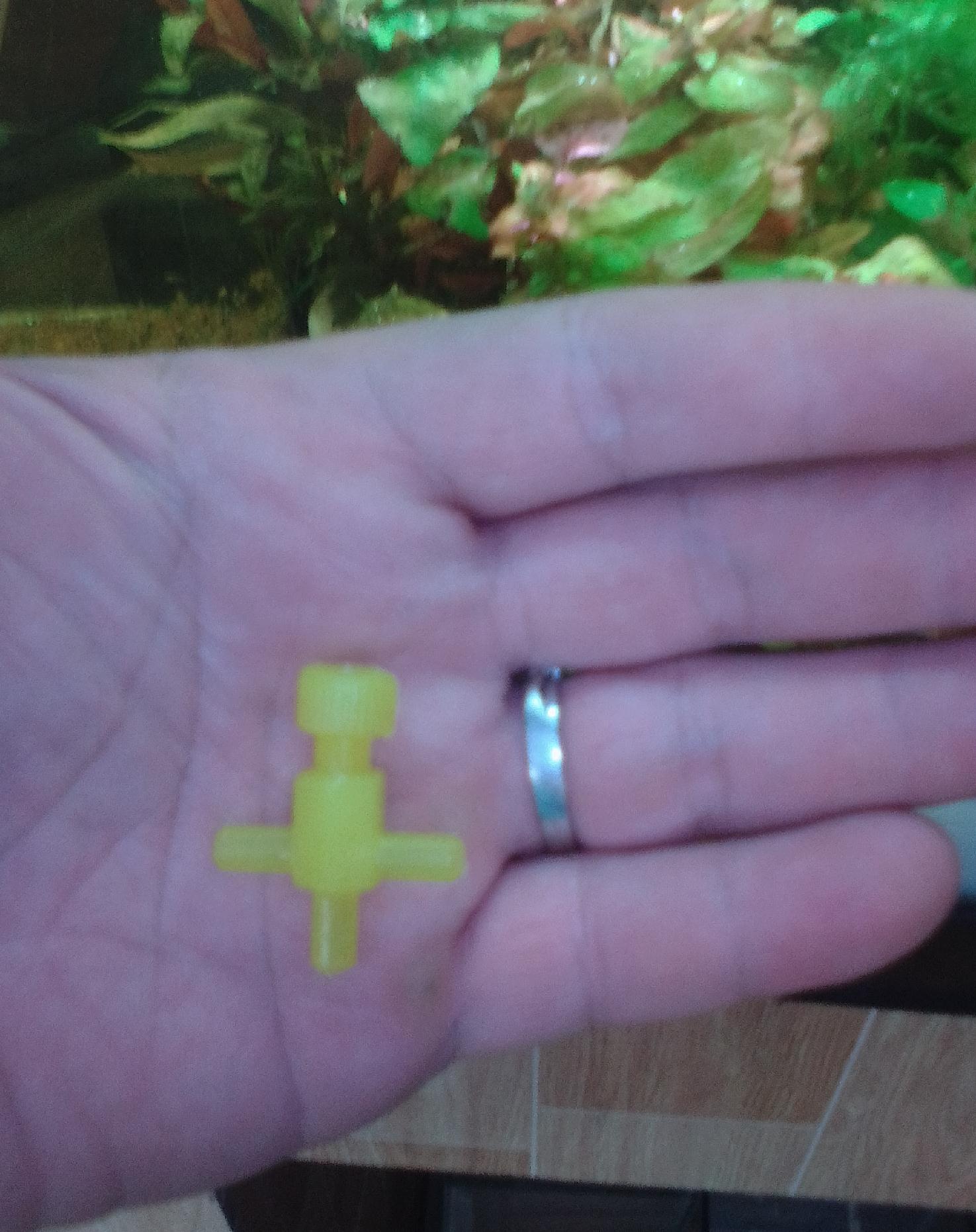[Cá] Chia oxy có van X 5 cái