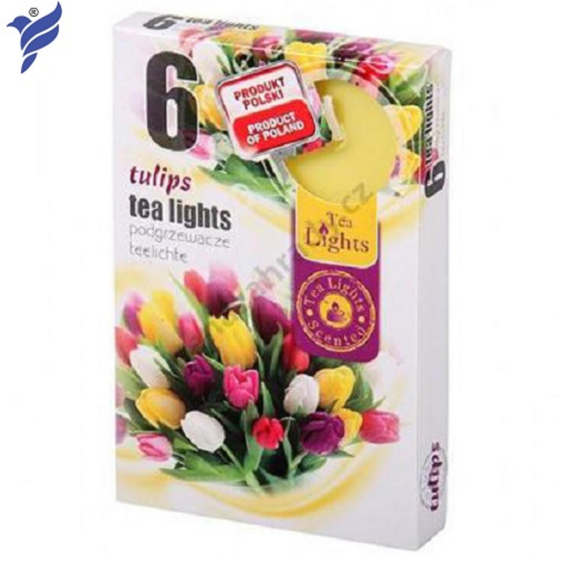 Hộp 6 nến thơm Tea lights Admit Tulips ADM7746 (Hương hoa tulip)
