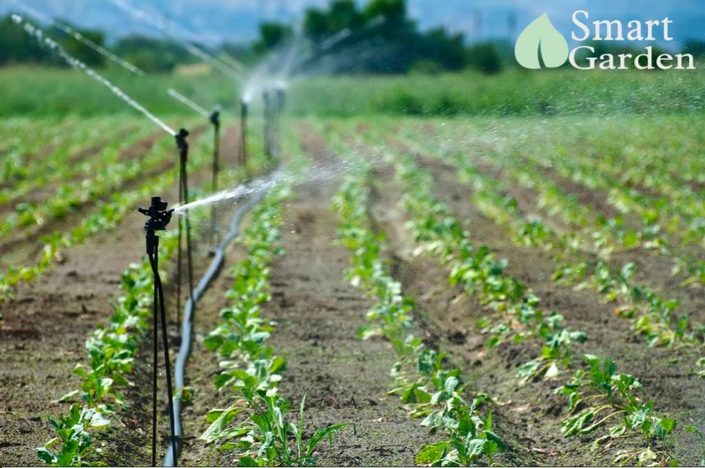 Công tắc hẹn giờ electron timer KG316T-II dùng trong tưới tiêu nông nghiệp 25A - mẫu mới 2018 timer hẹn giờ ổ cắm hẹn giờ công tắc điện thông minh công tắc