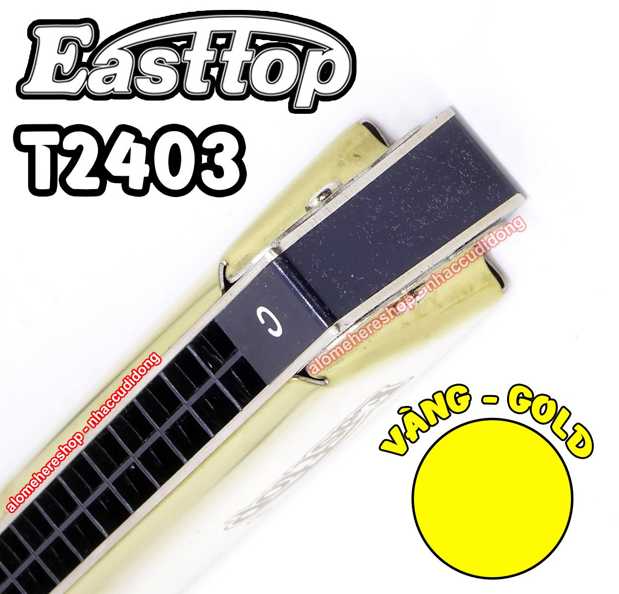 Kèn harmonica tremolo Easttop T2403 Key C