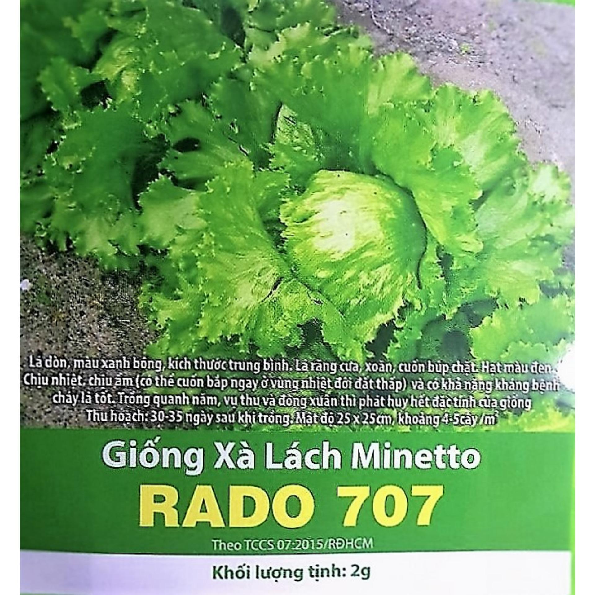 Hạt giống xà lách minetto italia rado-707-2g