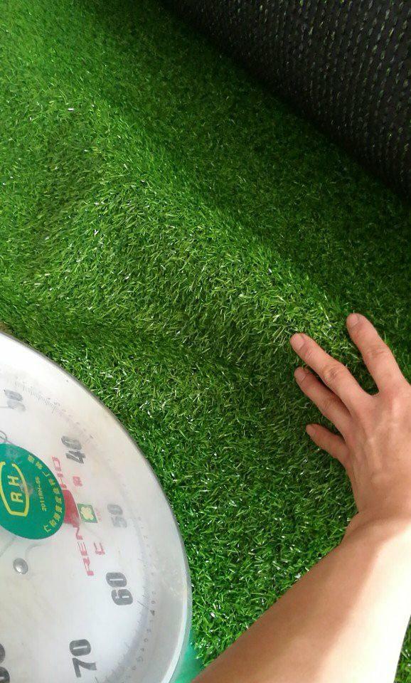 10M2  thảm cỏ nhân tạo độ cao 3cm (Cỏ dày êm chân) . Kt 2mx5m