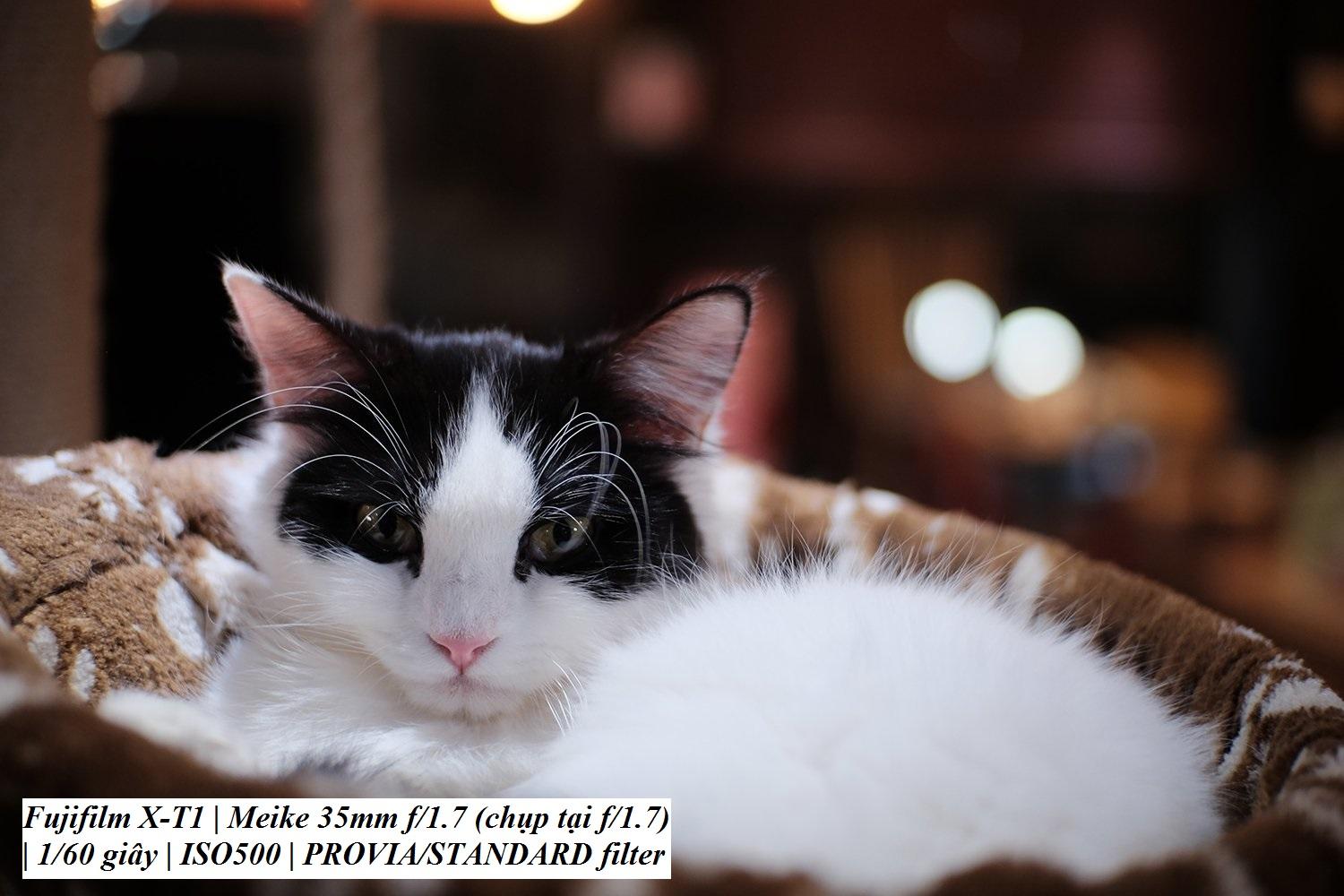 LENS MEIKE 35F1.7 MANUAL FOCUS FOR FUJIFILM FX