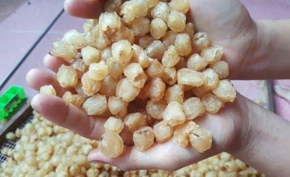 ( GIÁ SỈ ) GÓI TO 1KG Long nhãn ngon tuyệt, chất lượng, sỉ, rẻ, dạo, combo, ăn vặt, ăn liền, sỉ, dạo, combo, tết, mứt, đậu và hạt, nấu chè, dưỡng nhan, nguyên liệu, làm bánh, nấu ăn, vaoăn là ghiền, nhà làm, combo, mứt,