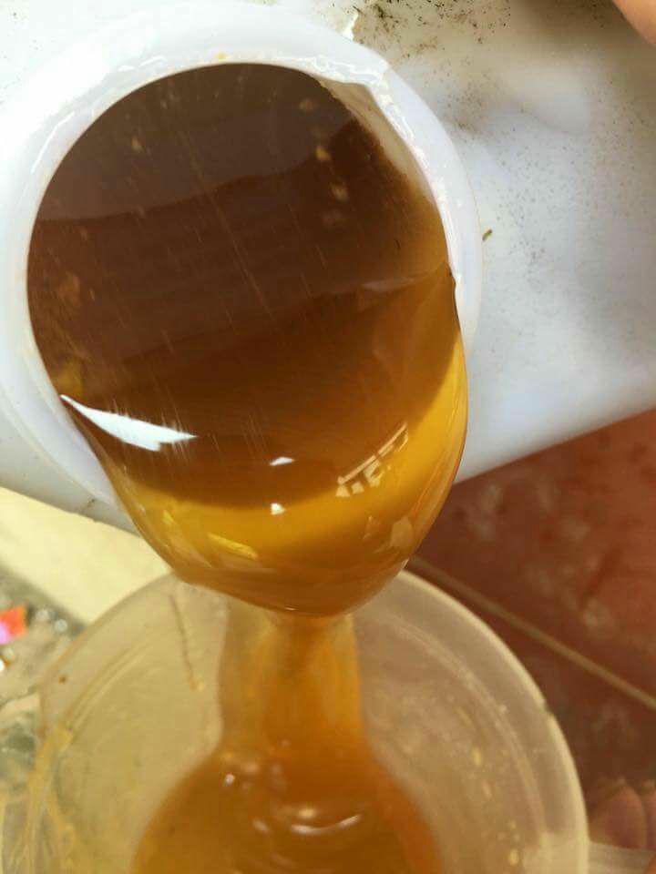 1L MẬT ONG RỪNG NGUYÊN CHẤT YÊN BÁI