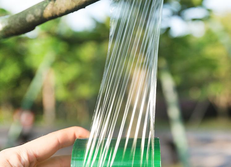 Băng ghép cây cuộn xanh 6cm