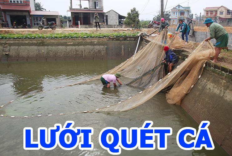 Lưới kéo cá - lưới quét cá cao 2m dài 20m a cường