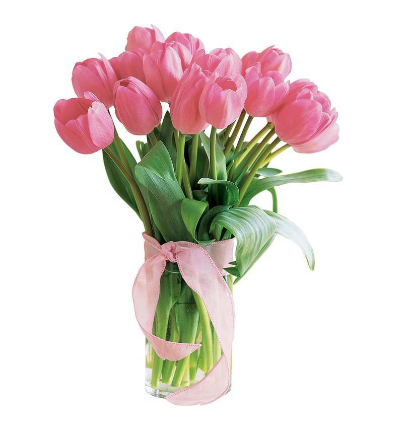 Combo 10 cành hoa tulip silicon trang trí siêu đẹp, cành dài 32cm