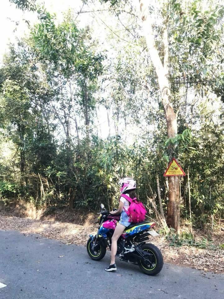 Balo Khủng Long Size Lớn