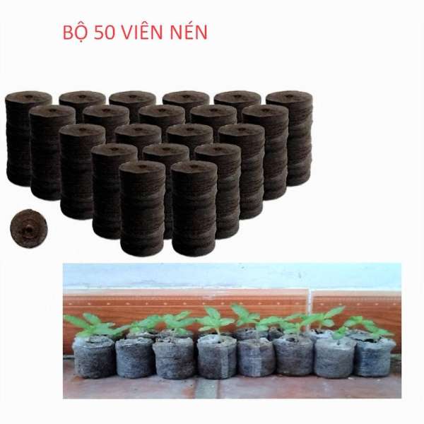 Bộ 50 Viên Nén ươm hạt ( Viên nén mùm dừa) .