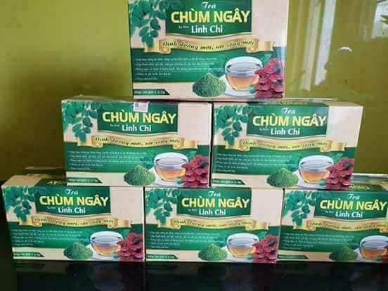 Trà túi lọc chùm ngây sạ đen linh chi