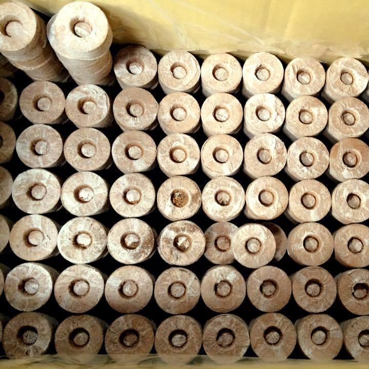 Bộ 1000 Viên Nén Ươm Hạt Xơ Dừa