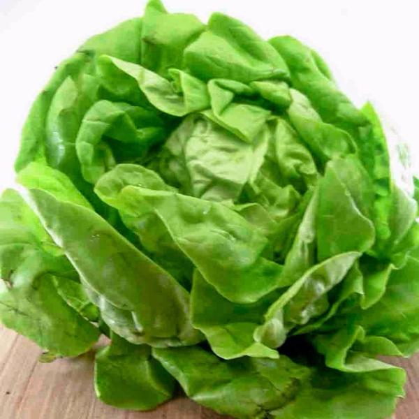 Hạt giống Xà lách mỡ (10g)