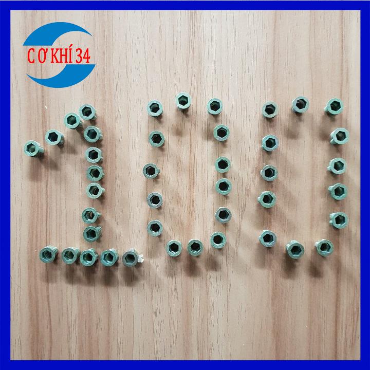 Túi ốc cấy gỗ phi 6 - 100 con