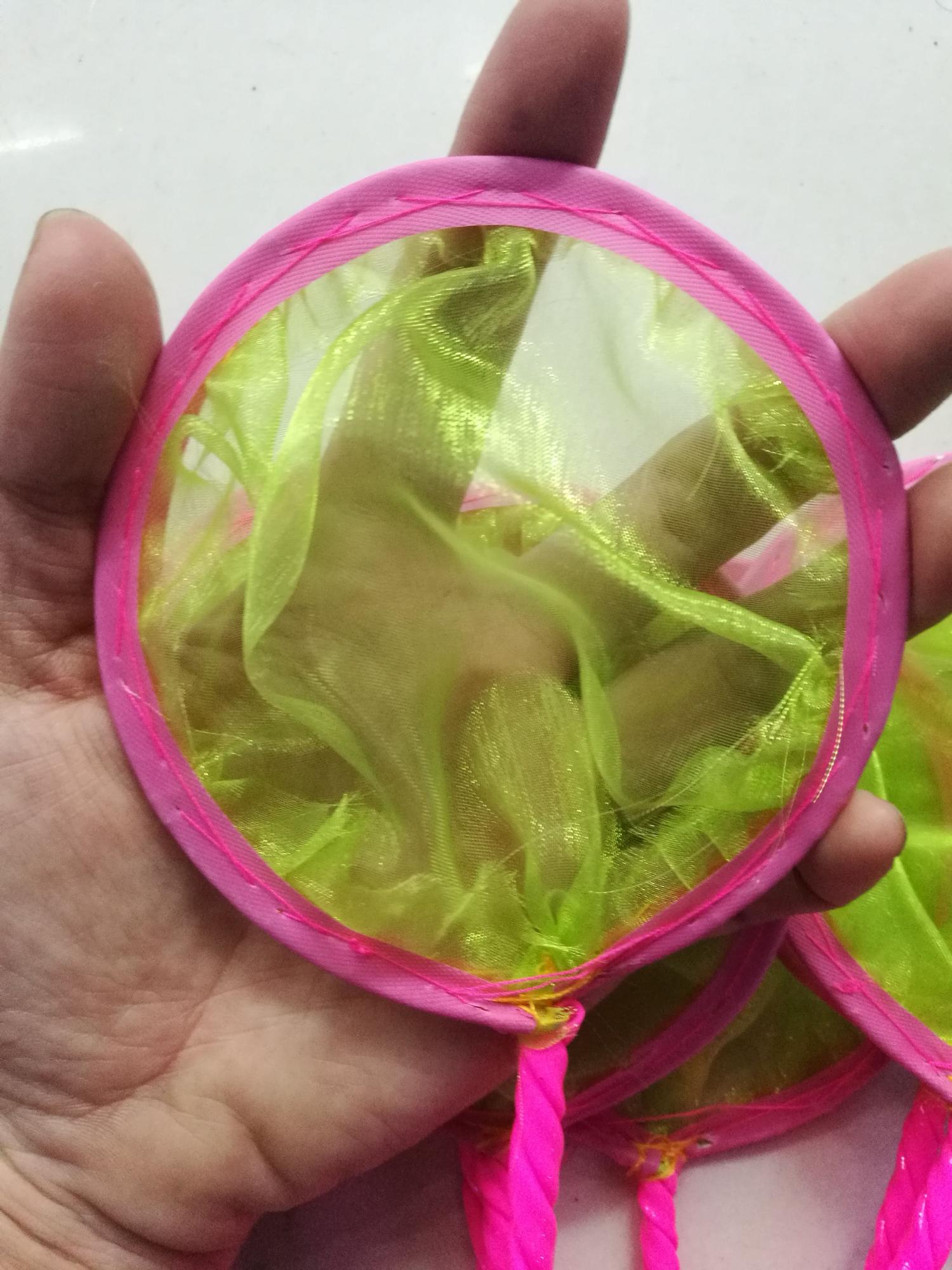 [HCM]Vợt vớt cá bobo artemia cá con