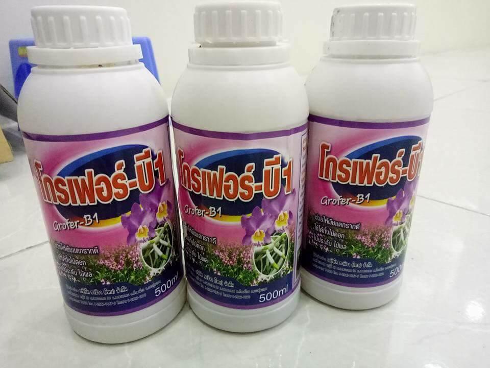 kích rễ b1 – kích rễ , phân bón lá