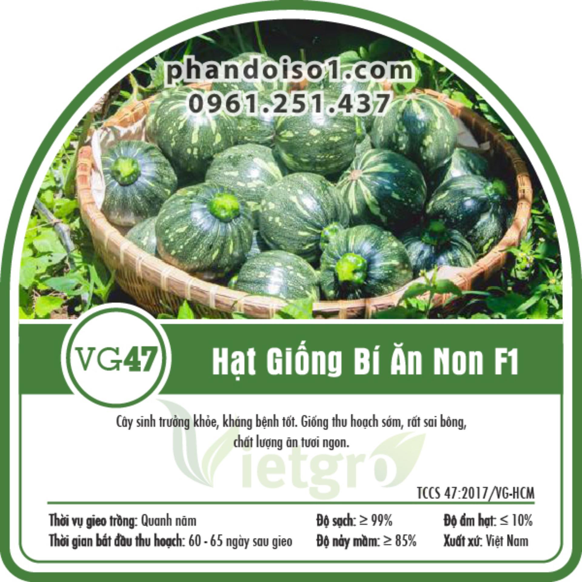 Hạt Giống Bí Ăn Non F1 Vietgro (Gói 10gr)