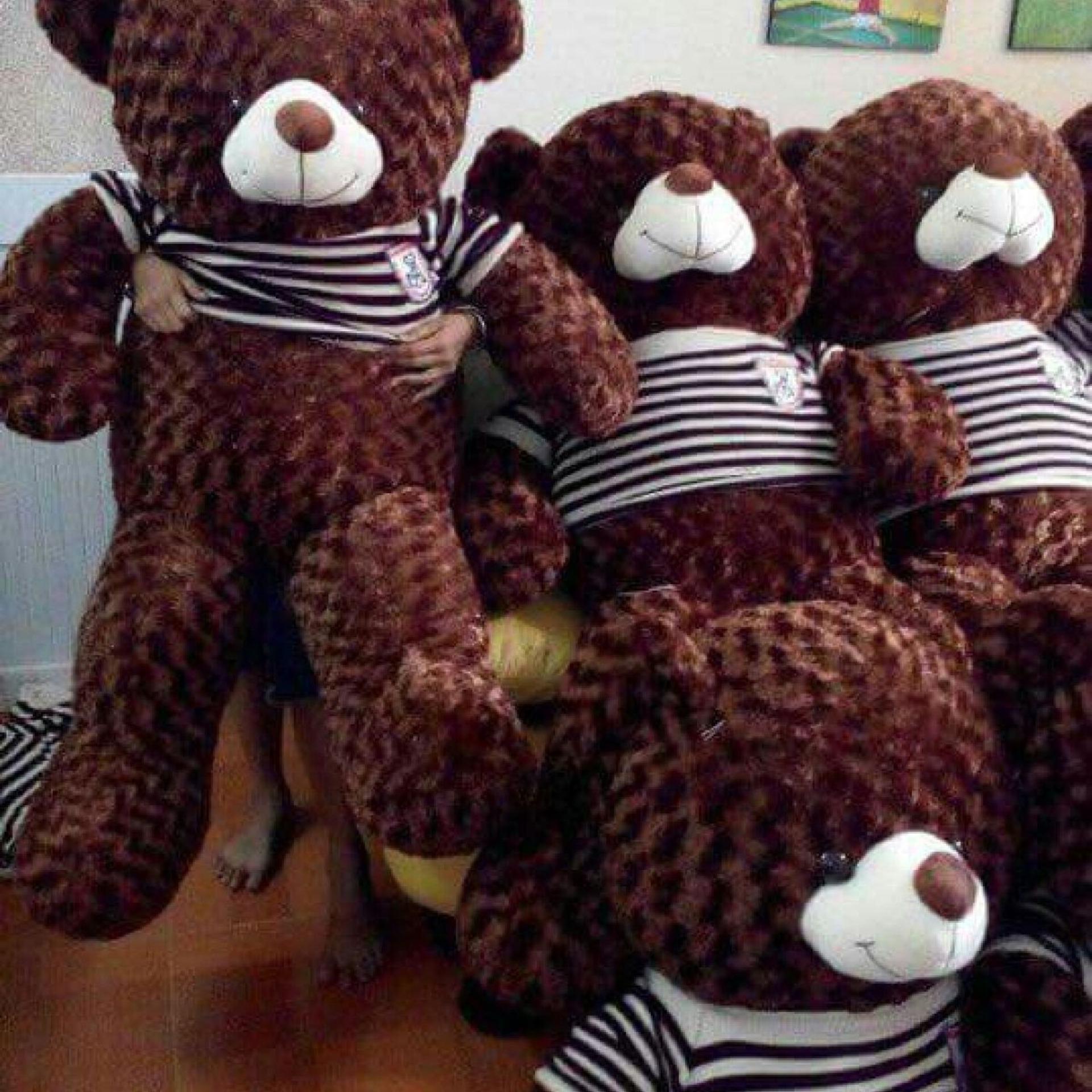 Gấu bông Teddy khổ vải 1m2 cao cấp